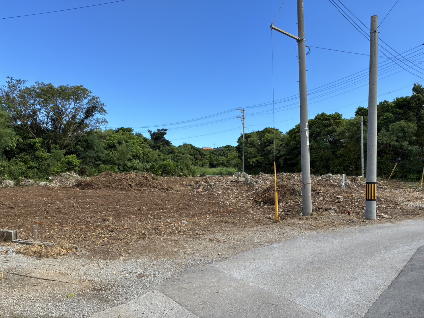 売地 本部町山川
