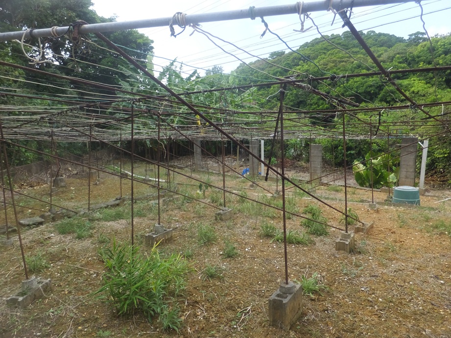 敷地内に畑があり、家庭菜園も楽しめます